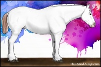 Horse Color:Brown Snowcap 