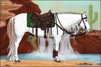 Horse Color:Bay Roan Blanket Rabicano 