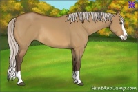 Horse Color:Silver Bay Dun Splash Rabicano