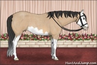 Horse Color:Buckskin Roan Splash