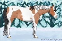Horse Color:Bay Roan Splash Tobiano 