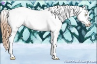 Horse Color:Gold Champagne Roan Dun Splash Tobiano Frame Appaloosa Rabicano 