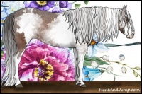 Horse Color:White Spotted Brown Frame Appaloosa Rabicano  Brindle