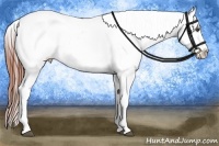 Horse Color:White Spotted Brown Frame Varnish Rabicano  Brindle