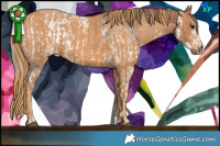 Horse Color:Brown Ice Sabino Frame Appaloosa Rabicano  Brindle