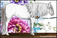 Horse Color:Liver Chestnut Appaloosa Rabicano Brindle