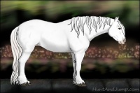 Horse Color:White Spotted Silver Brown Ice Frame Appaloosa Rabicano  Brindle
