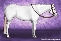 Horse Color:White Spotted Brown Frame Appaloosa Rabicano  Brindle