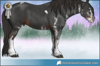 Horse Color:White Spotted Liver Chestnut Tobiano 