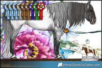 Horse Color:Brown Roan Appaloosa Rabicano  Brindle