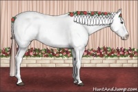 Horse Color:White Spotted Brown Frame Varnish Rabicano  Brindle