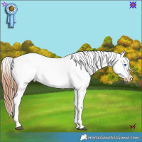 Horse Color:White Spotted Brown Frame Snowcap Rabicano  Brindle