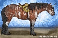 Horse Color:White Spotted Brown Rabicano  Brindle