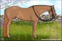 Horse Color:Chestnut Rabicano 