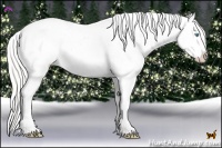 Horse Color:Silver Amber Cream Champagne Pearl Dun Sabino Appaloosa