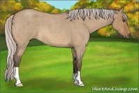 Horse Color:Silver Bay Roan Dun 