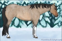 Horse Color:Bay Roan Dun Tobiano 