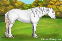 Horse Color:Buckskin Pearl Frame Snowcap Rabicano 
