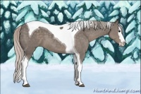 Horse Color:Silver Black Splash Tobiano 