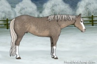 Horse Color:White Spotted Silver Smoky Black Sabino Splash 