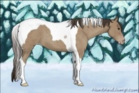 Horse Color:Classic Champagne Roan Tobiano 