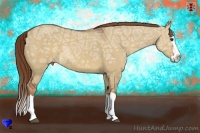 Horse Color:Red Dun Ice Sabino Splash 