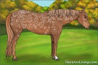 Horse Color:Chestnut Ice 
