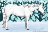 Horse Color:Silver Smoky Black Tobiano Appaloosa