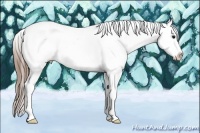 Horse Color:Smoky Black Splash Tobiano Appaloosa Rabicano 
