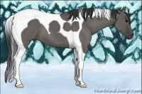 Horse Color:Grullo Tobiano