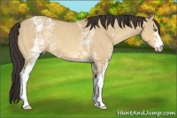 Horse Color:White Spotted Amber Champagne Dun