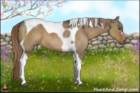Horse Color:Liver Red Dun Tobiano