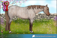 Horse Color:Liver Red Dun Roan 