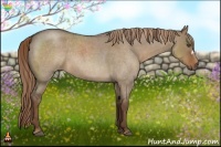 Horse Color:Liver Red Dun Roan 