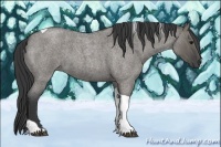 Horse Color:Grullo Roan Tobiano 