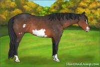 Horse Color:Brown Frame 