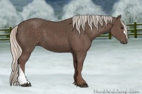 Horse Color:Silver Black