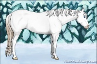 Horse Color:Smoky Black Splash Tobiano Appaloosa 