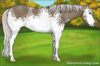Horse Color:White Spotted Silver Smoky Black 