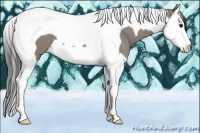 Horse Color:Smoky Grullo Splash Tobiano