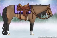 Horse Color:Buckskin Rabicano