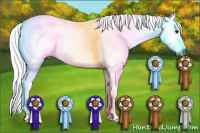 Horse Color:Gray Buckskin Splash