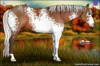 Horse Color:White Spotted Silver Bay