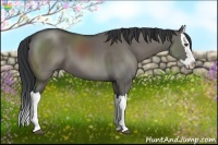 Horse Color:Grullo Splash 