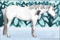 Horse Color:White Spotted Black Splash Tobiano Rabicano