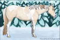 Horse Color:Smoky Black Pearl Sabino Tobiano 