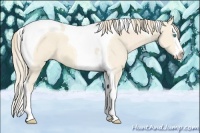 Horse Color:Perlino Splash Tobiano 