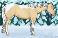 Horse Color:Silver Classic Cream Champagne Tobiano 