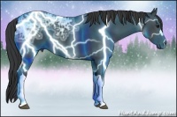 Horse Color:Black Ice 