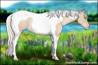 Horse Color:Silver Smoky Black Pearl Tobiano 